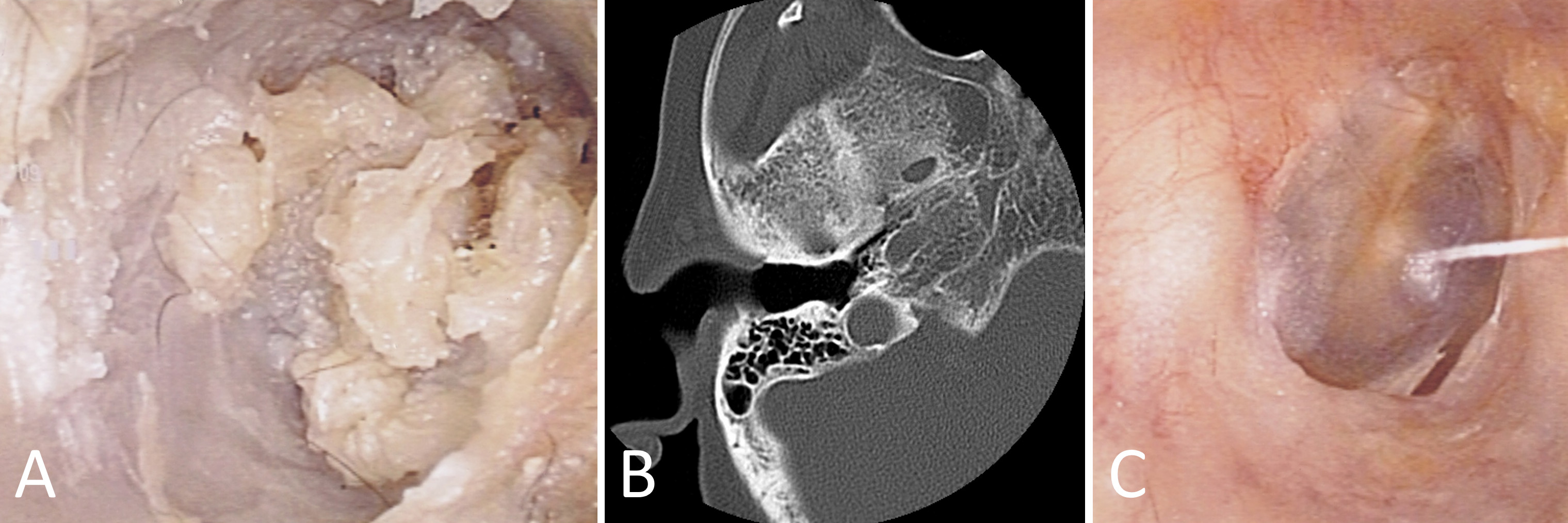 Figure 1.jpg